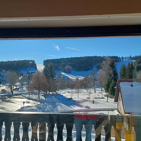 Schöne Ferienwohnung im Südschwarzwald Herrischried Exterior foto